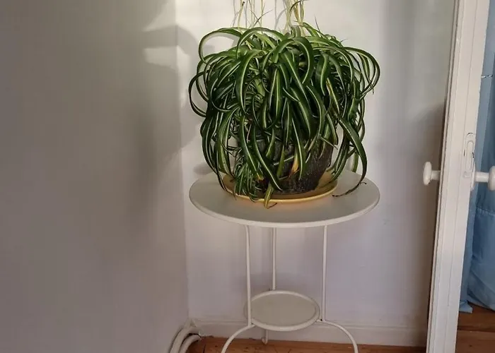 Апартаменты Vintage Eg Бремен