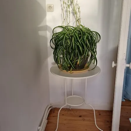 Apartament Vintage Eg Brema